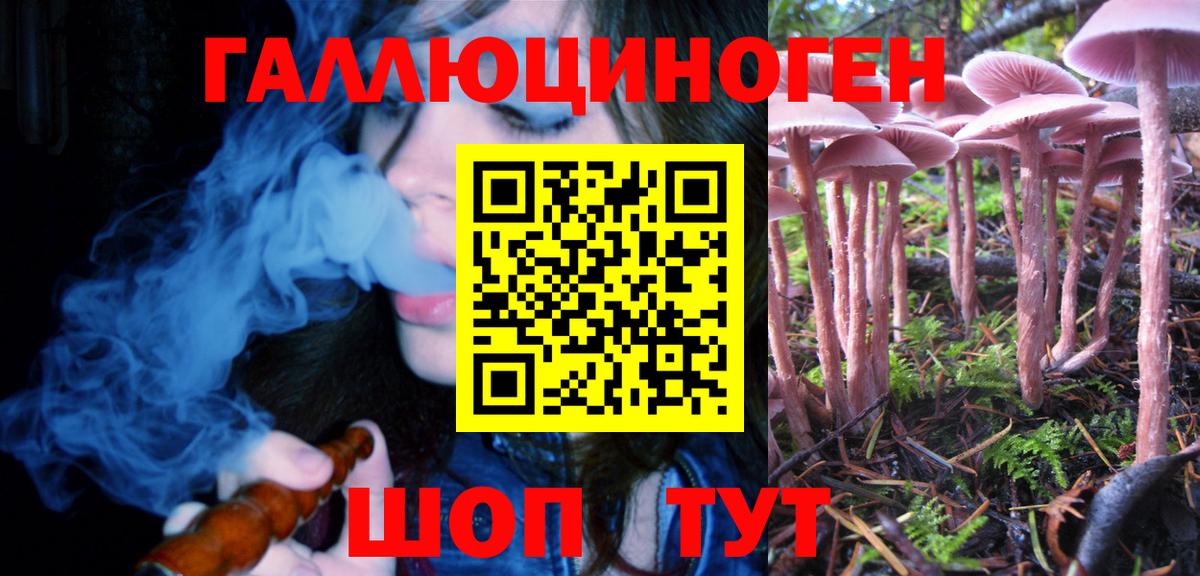 Галлюциногенные грибы GOLDEN TEACHER Клинцы