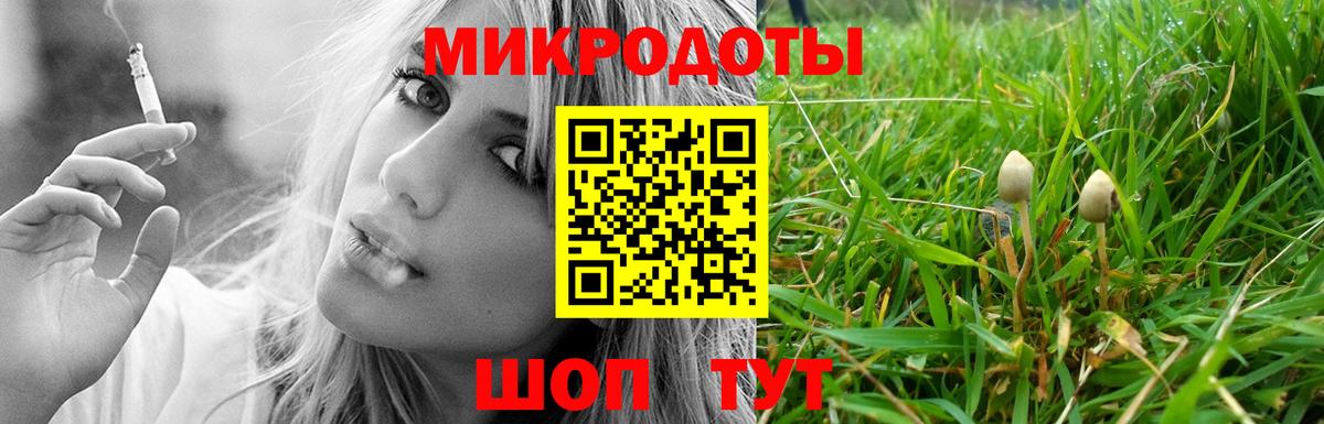 Галлюциногенные грибы MAGIC MUSHROOMS  Псилоцибиновые грибы ЛСД  Клинцы  Вход с VPN 